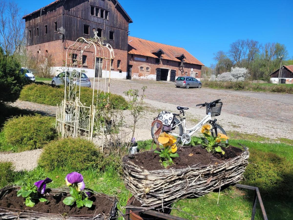 Agroturystyka "Palac W Janowie" Luaran gambar